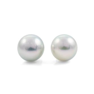 8.4mm Akoya Stud Pearl Earrings