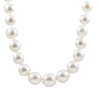 14-11mm Autore South Sea Pearl Necklace