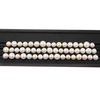 Loose 50 White South Sea Pearl