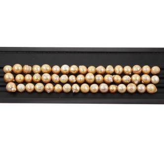 50 Loose Golden South Sea Pearls 211.7g