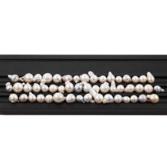 50 Loose South Sea Pearl 134.7g