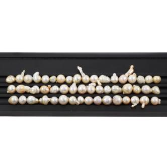 50 Loose South Sea Pearl 122.8g